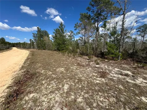 131 Quail Way Hawthorne FL 32640
