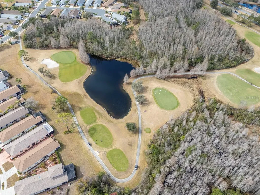 8205 Ponkan Road Land O Lakes FL 34637