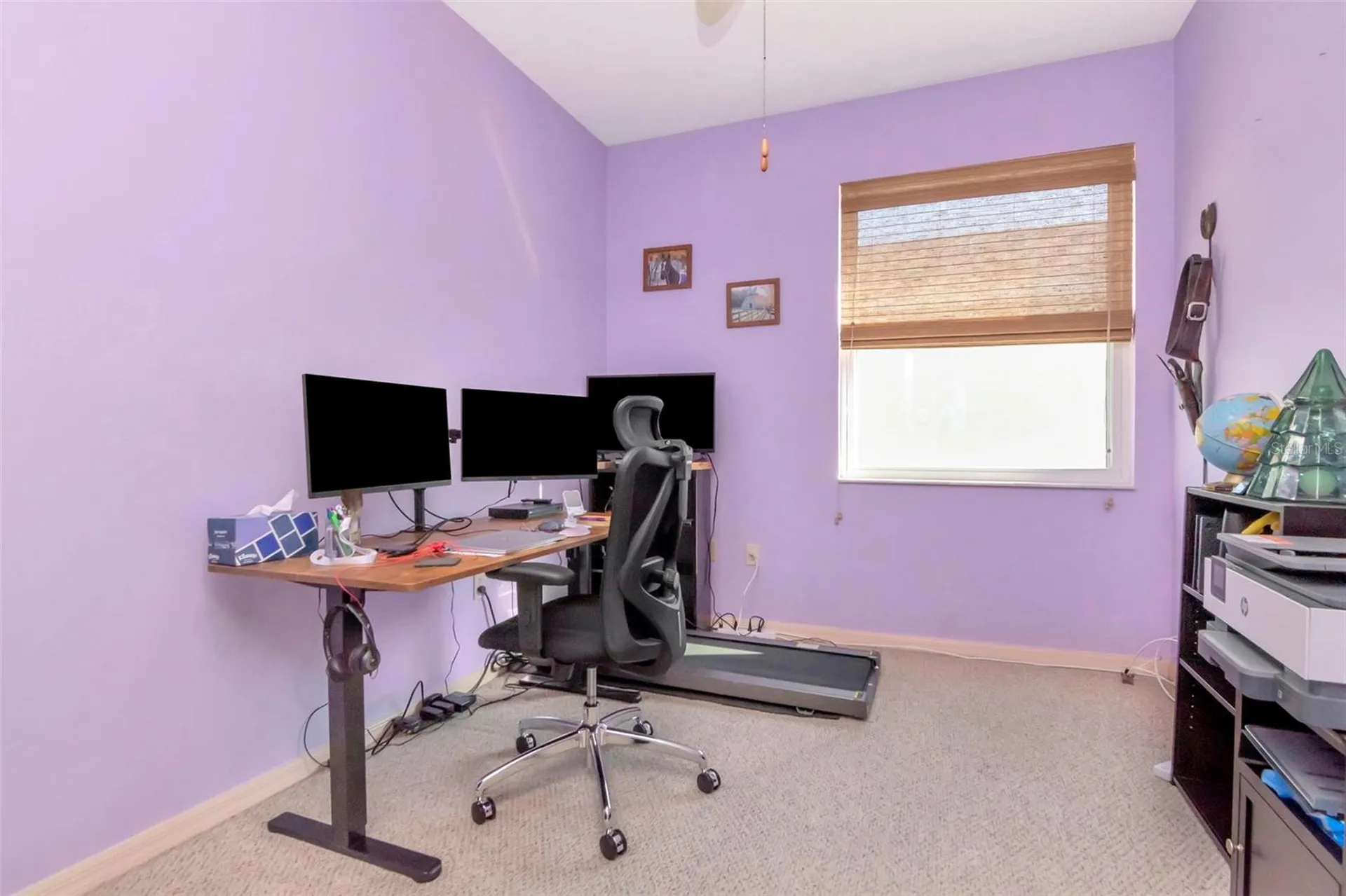 8205 Ponkan Road Land O Lakes FL 34637