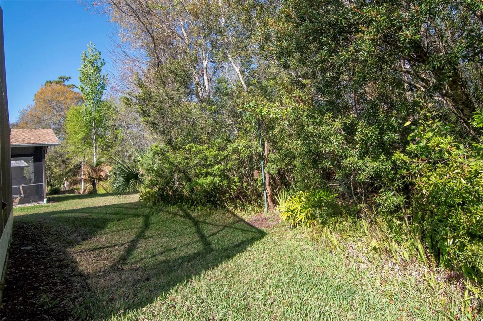 8205 Ponkan Road Land O Lakes FL 34637