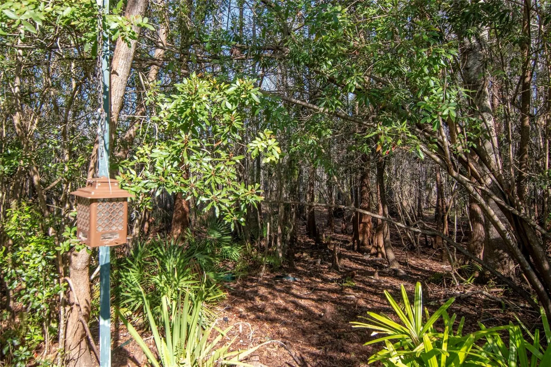 8205 Ponkan Road Land O Lakes FL 34637