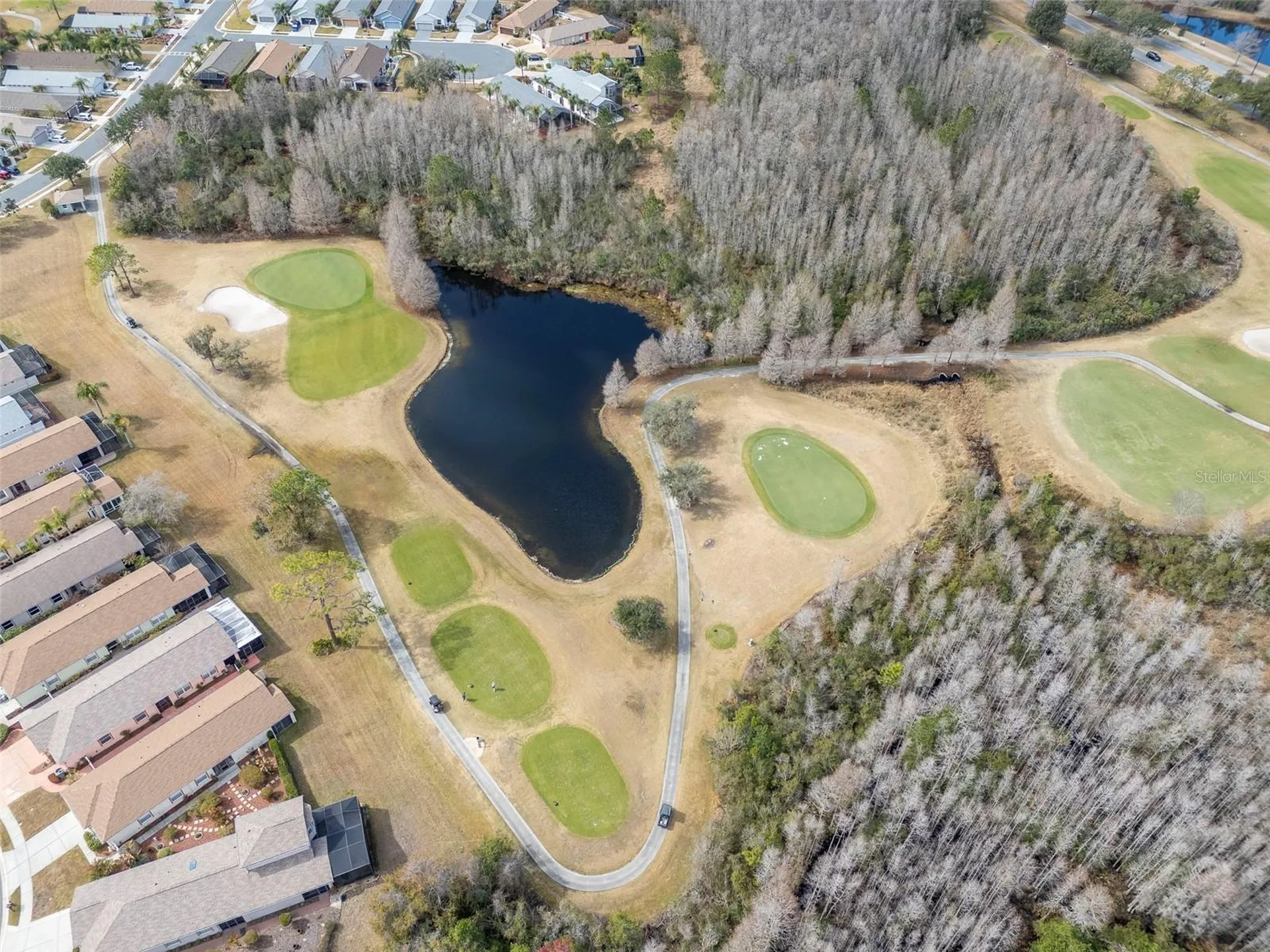 8205 Ponkan Road Land O Lakes FL 34637