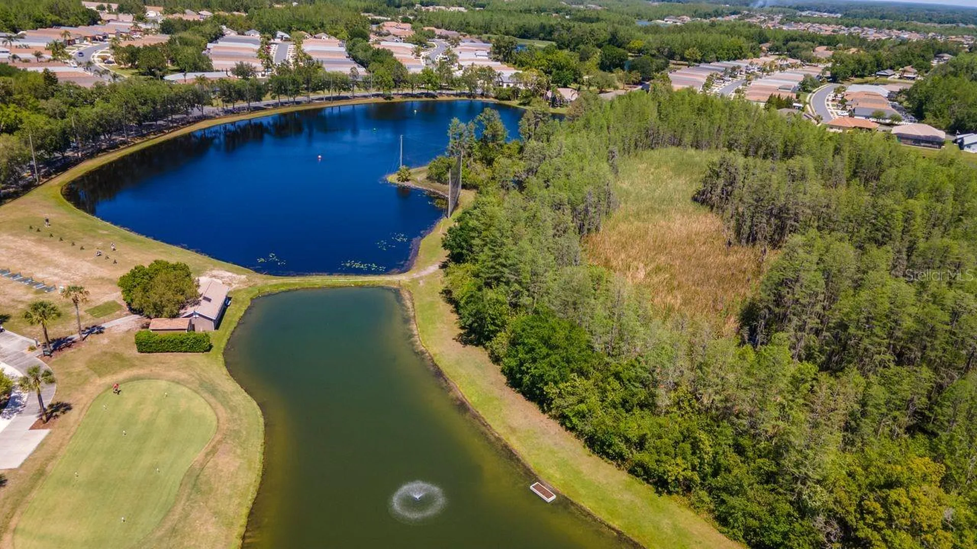 8205 Ponkan Road Land O Lakes FL 34637