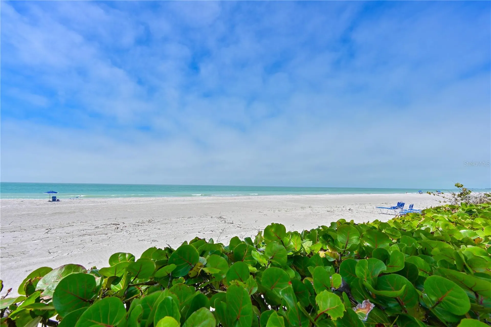 3806 Gulf Of Mexico Drive Longboat Key FL 34228