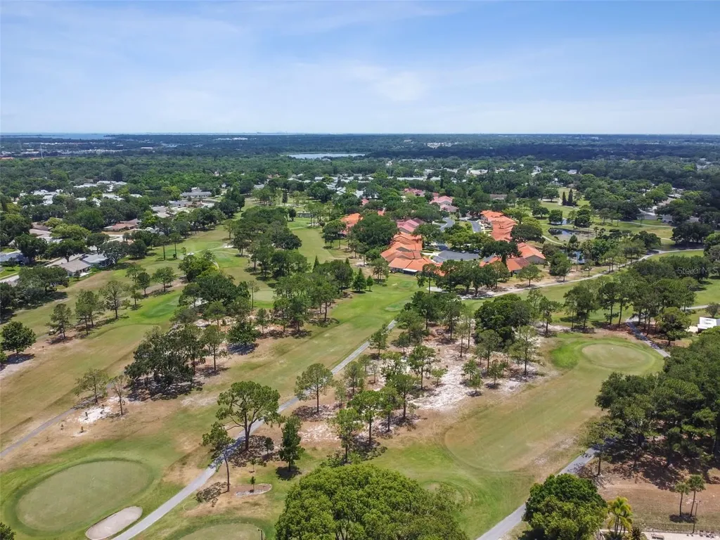 2231 Lark Circle E Palm Harbor FL 34684