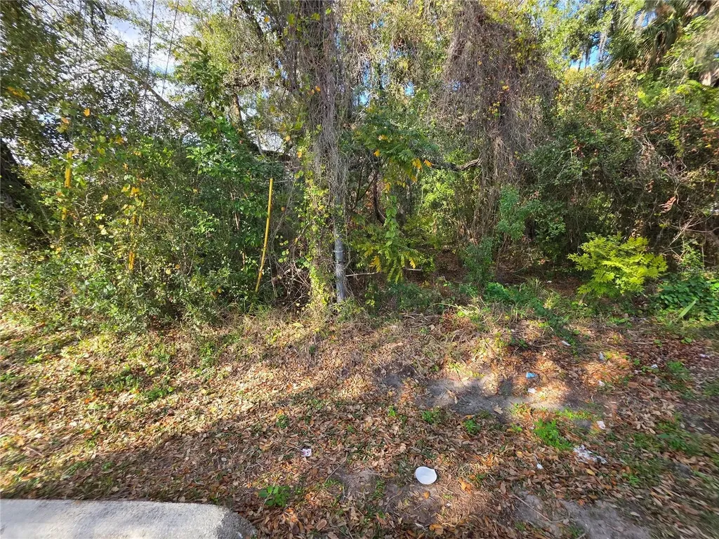 0 Michigan Avenue Kissimmee FL 34744