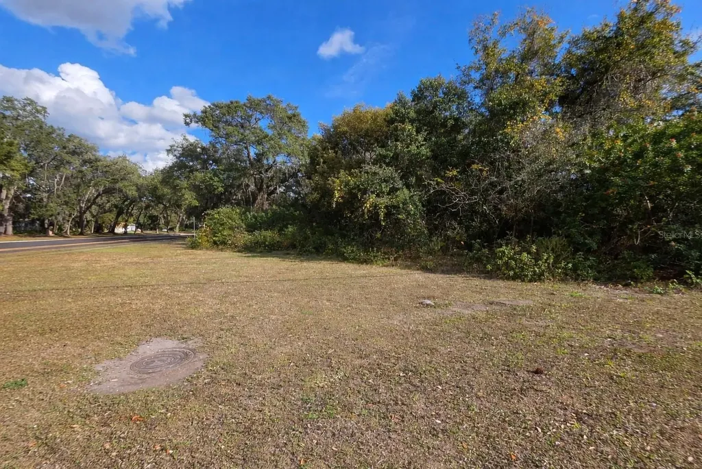 0 Michigan Avenue Kissimmee FL 34744