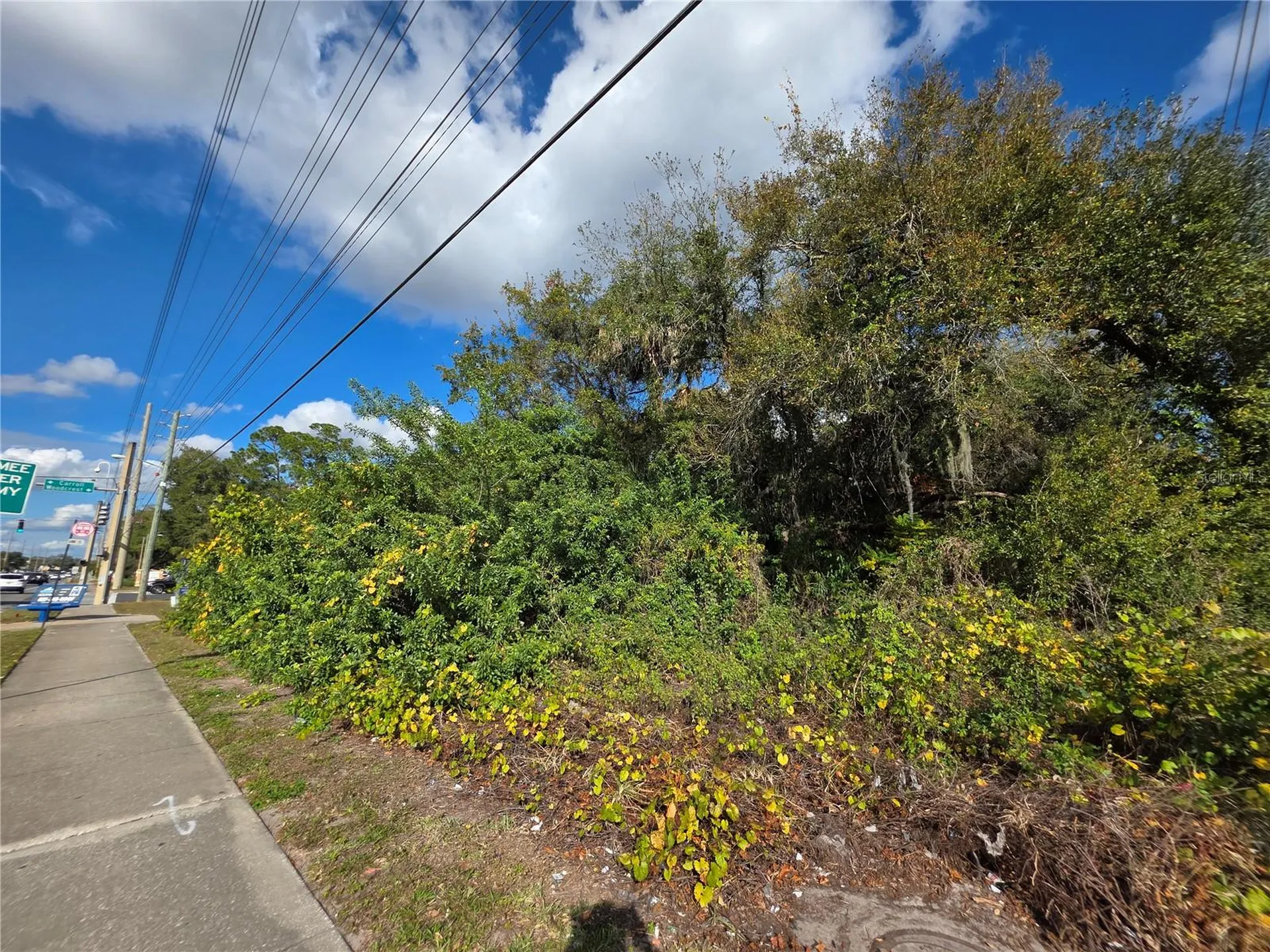 0 Michigan Avenue Kissimmee FL 34744