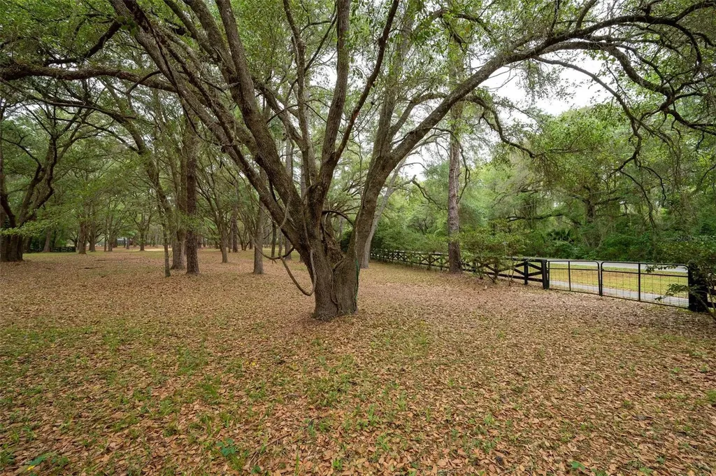623 SW 93rd Street Gainesville FL 32607