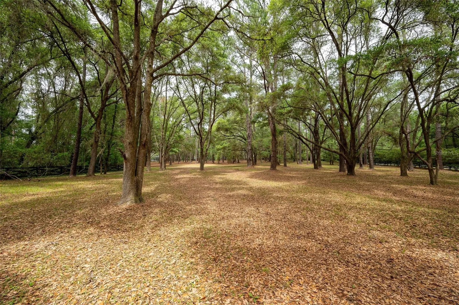 623 SW 93rd Street Gainesville FL 32607