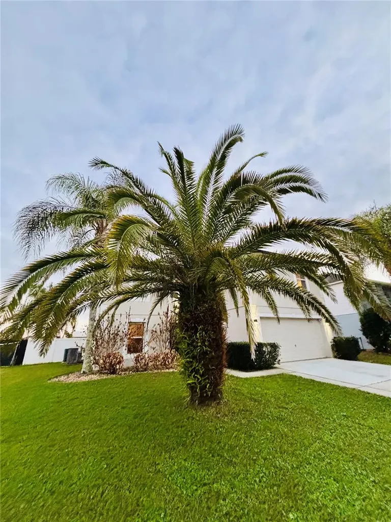 307 Velveteen Place Chuluota FL 32766