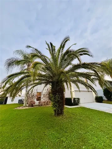 307 Velveteen Place Chuluota FL 32766