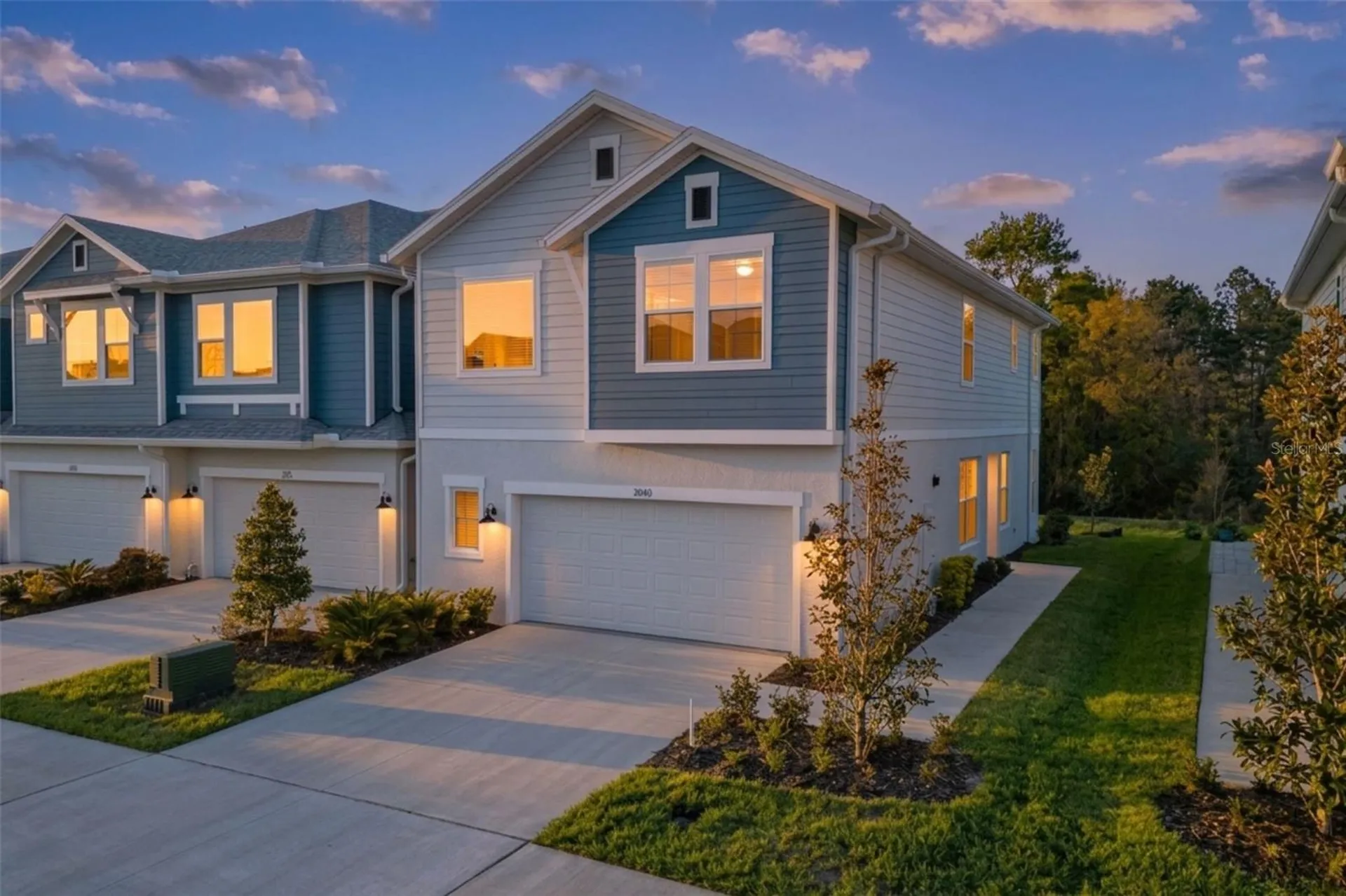 17240 Balance Cove Land O Lakes FL 34638