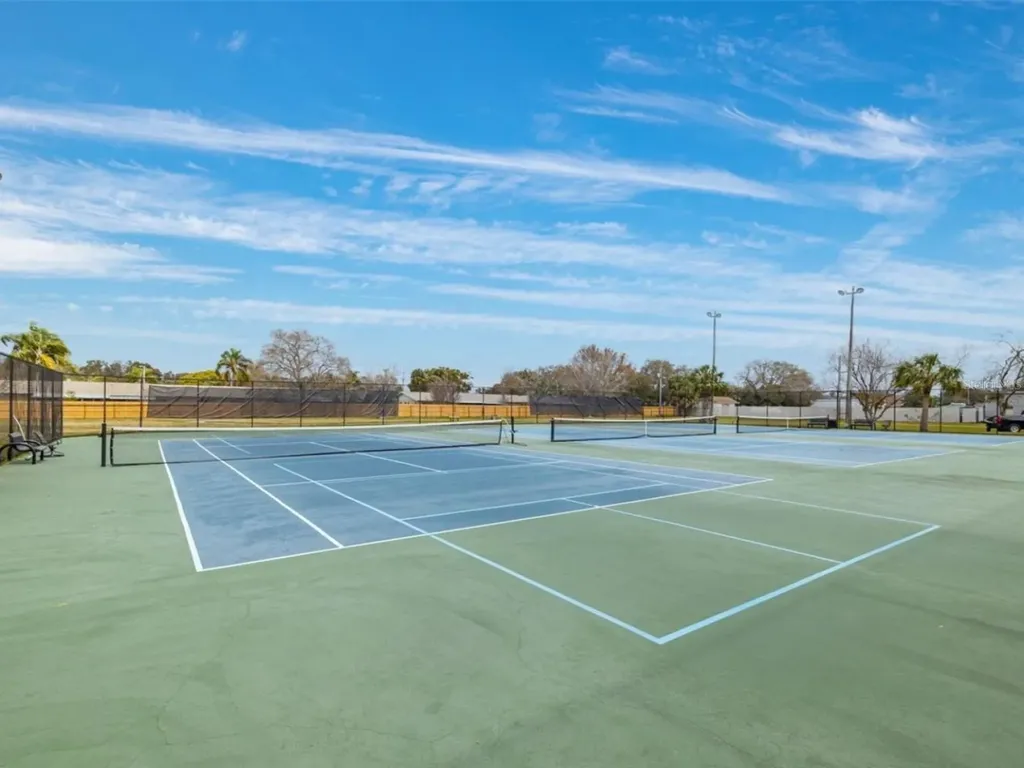 946 Virginia Street Dunedin FL 34698