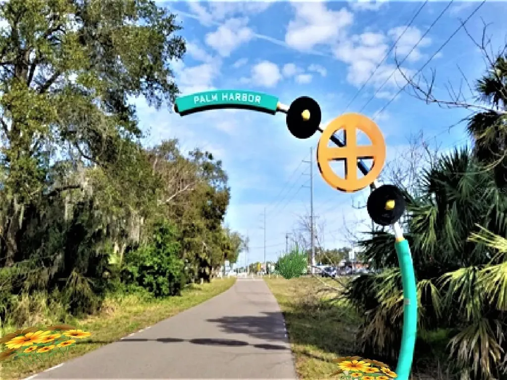 946 Virginia Street Dunedin FL 34698