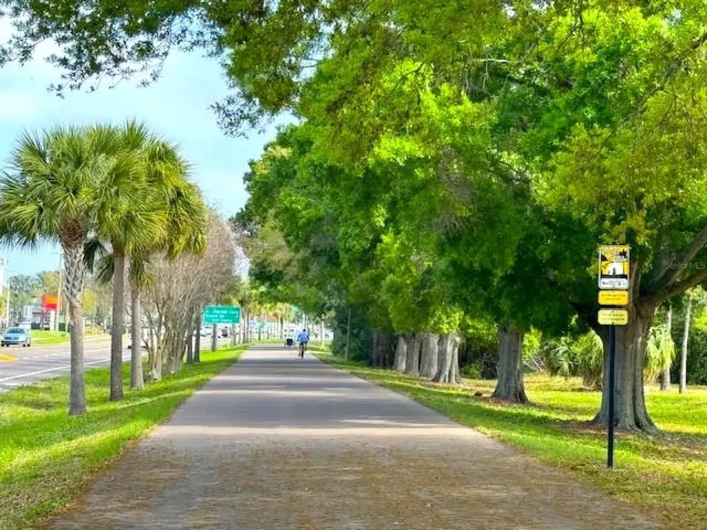 946 Virginia Street Dunedin FL 34698