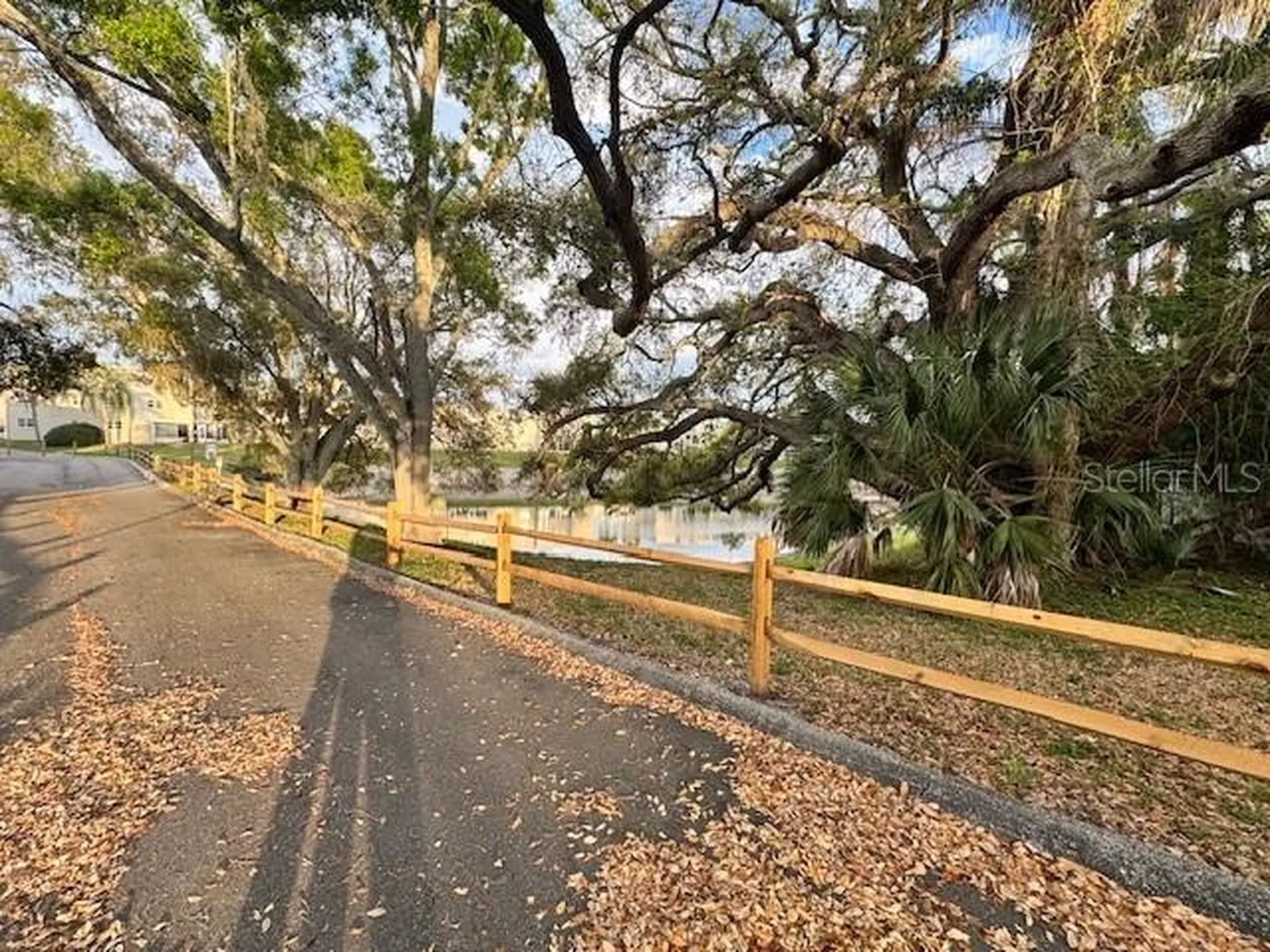 946 Virginia Street Dunedin FL 34698