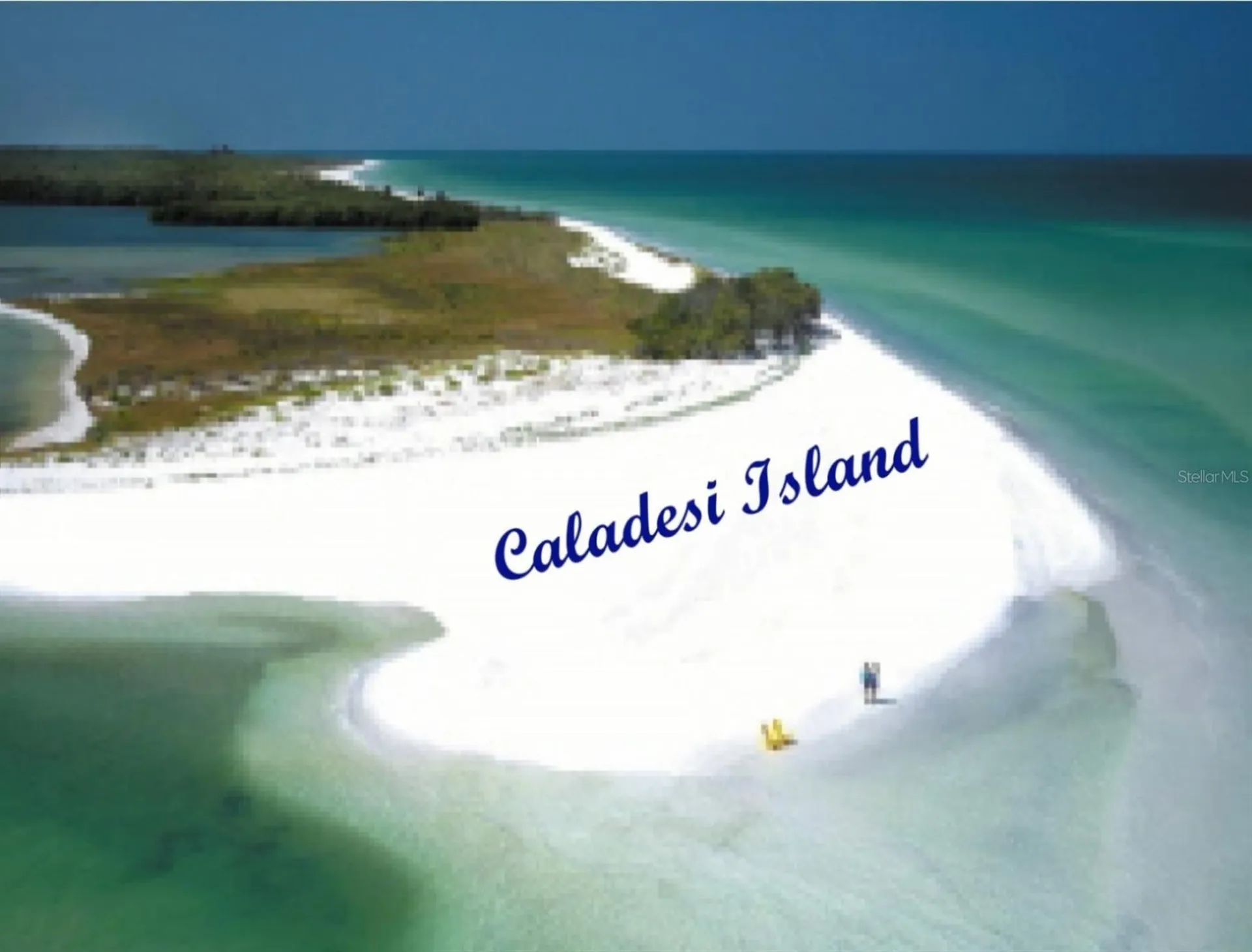 946 Virginia Street Dunedin FL 34698
