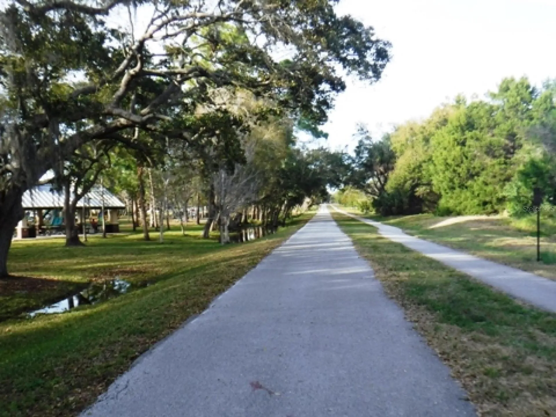 946 Virginia Street Dunedin FL 34698