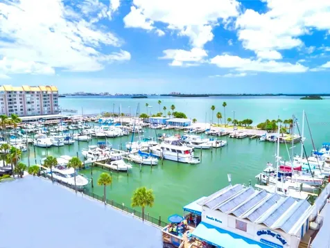 946 Virginia Street Dunedin FL 34698