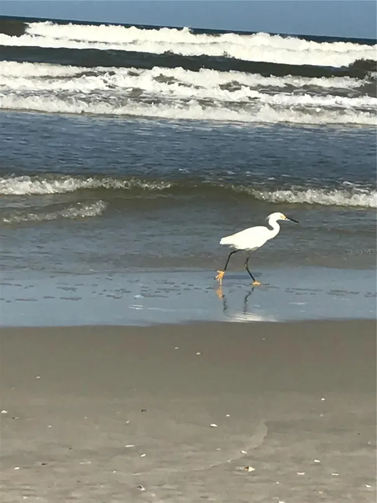 600 Cinnamon Beach Way Palm Coast FL 32137
