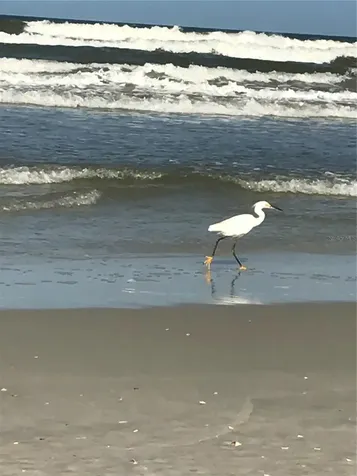 600 Cinnamon Beach Way Palm Coast FL 32137