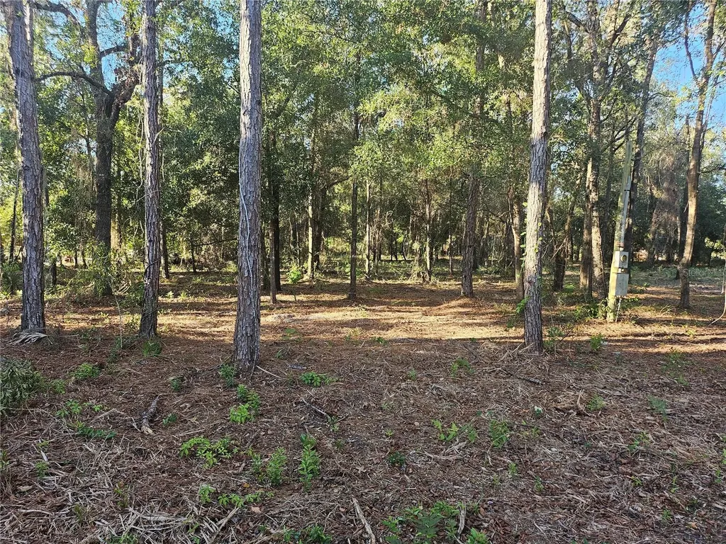 4462 & 4484 N Well View Point Crystal River FL 34428