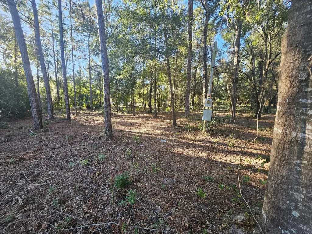 4462 & 4484 N Well View Point Crystal River FL 34428