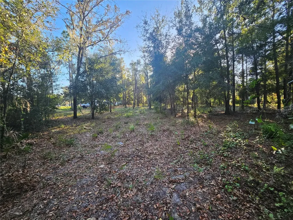 4462 & 4484 N Well View Point Crystal River FL 34428