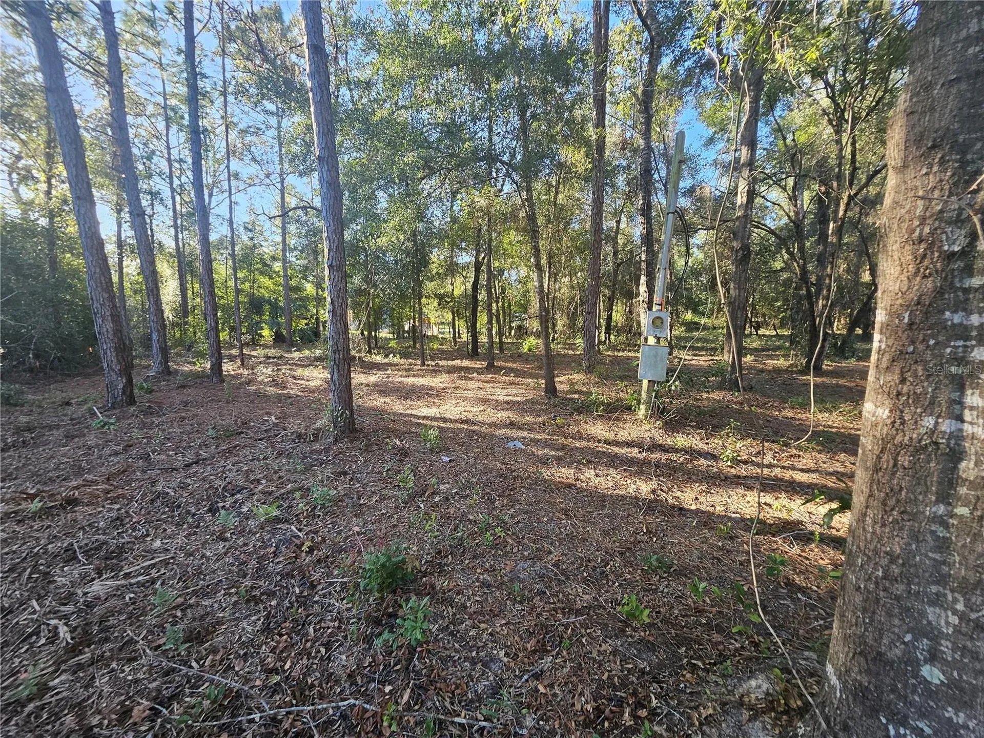 4462 & 4484 N Well View Point Crystal River FL 34428