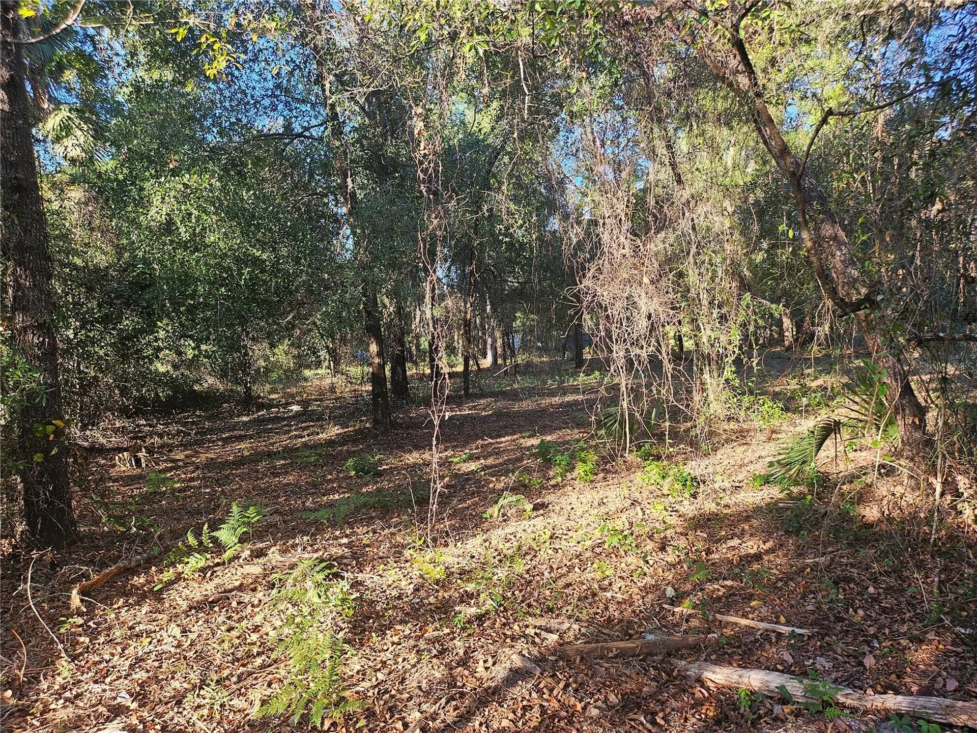 4462 & 4484 N Well View Point Crystal River FL 34428