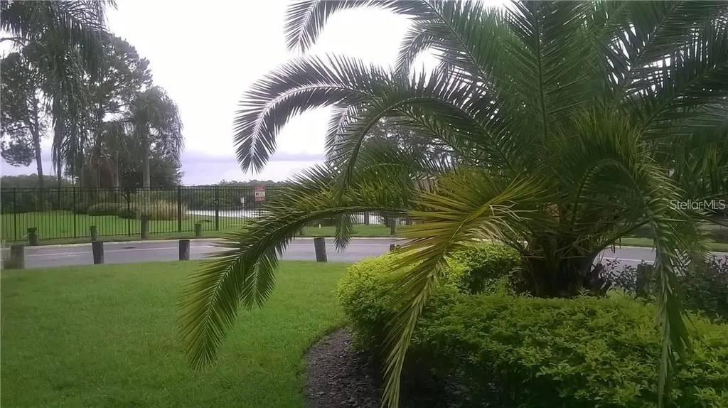 8802 Bay Pointe Drive Tampa FL 33615