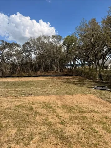 3802 Marigold Belle Circle Clermont FL 34711