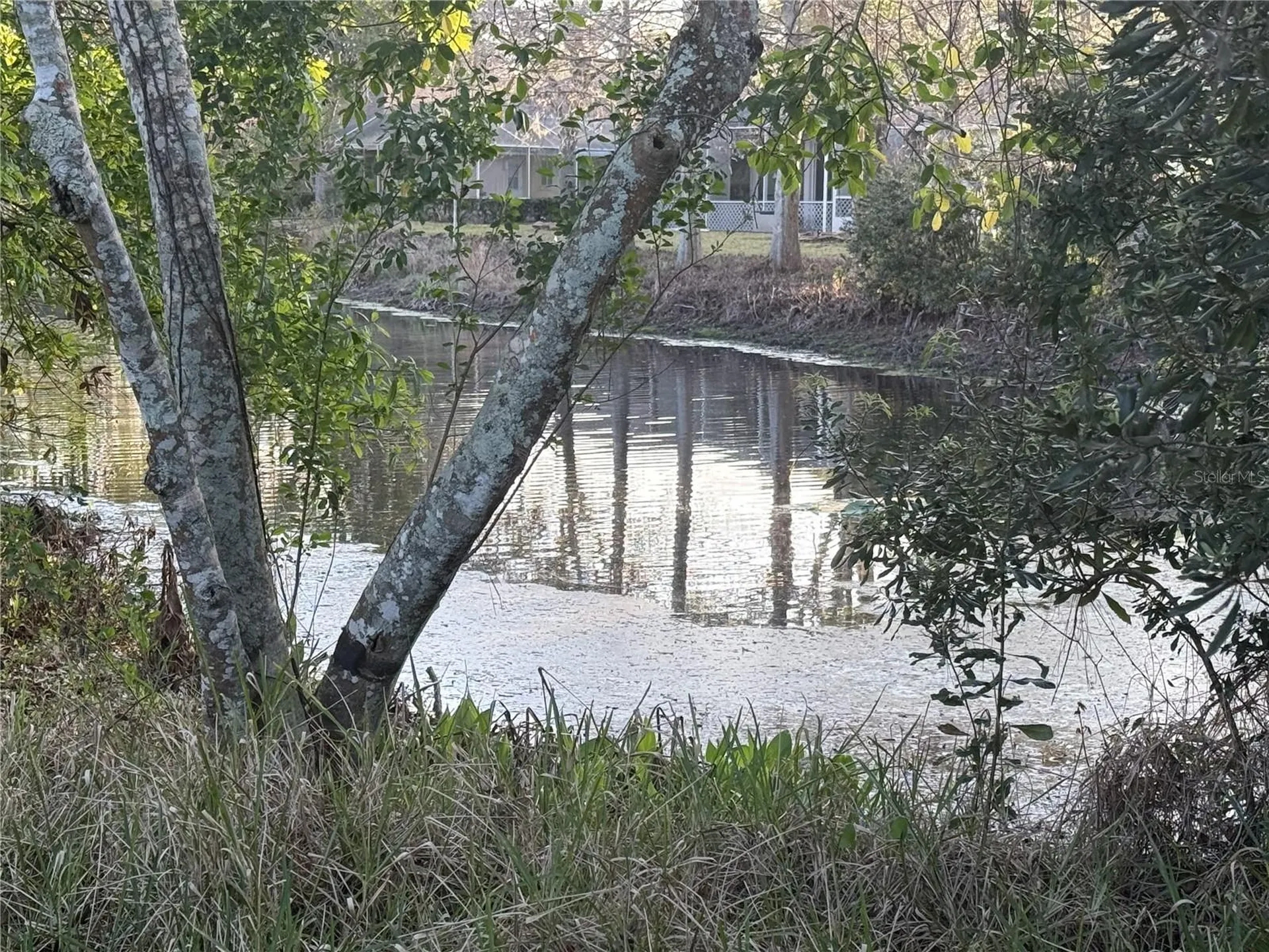 6 Montauk Court Palm Coast FL 32164