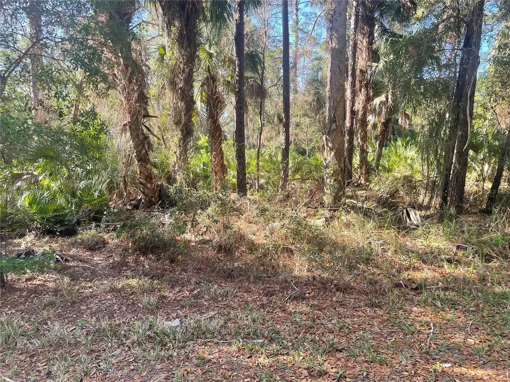 1120 NE 3rd Street Crystal River FL 34429
