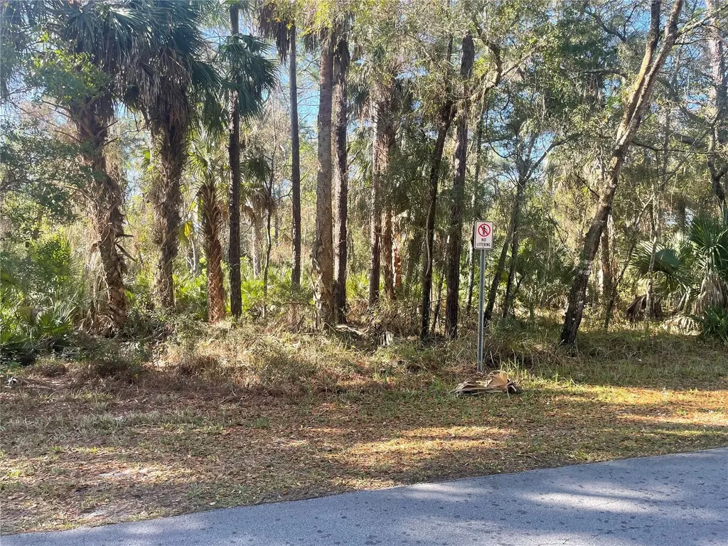 1120 NE 3rd Street Crystal River FL 34429