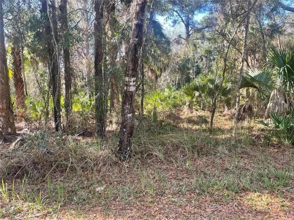 1120 NE 3rd Street Crystal River FL 34429