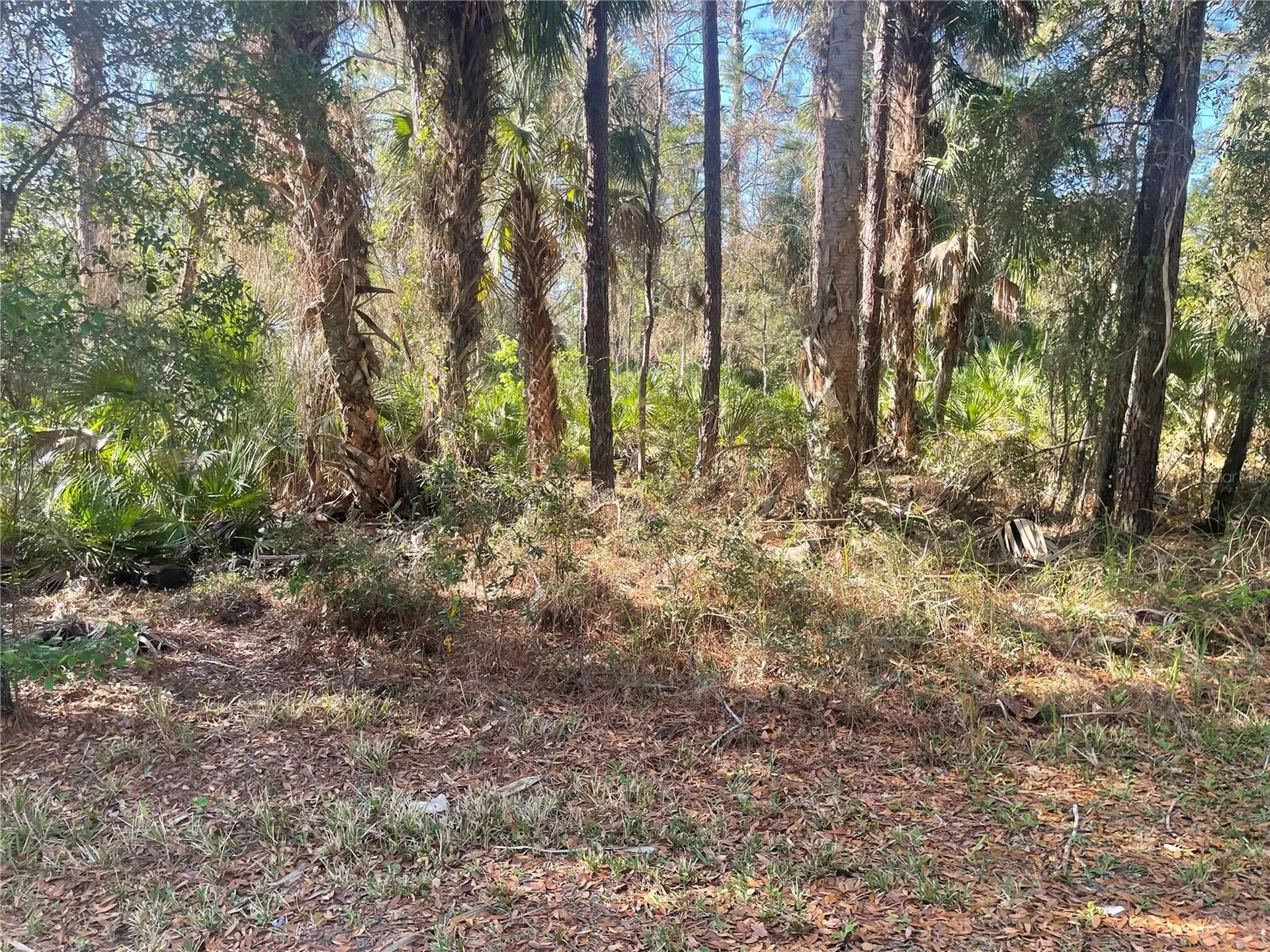 1120 NE 3rd Street Crystal River FL 34429