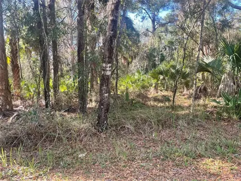 1120 NE 3rd Street Crystal River FL 34429
