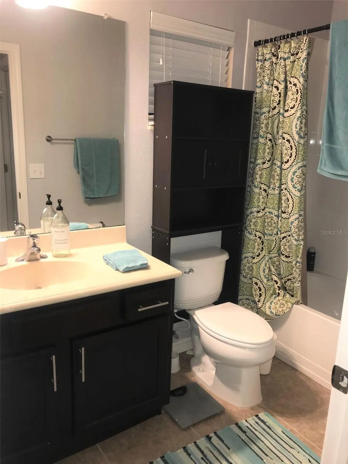6922 Frog Pocket Place Tampa FL 33616