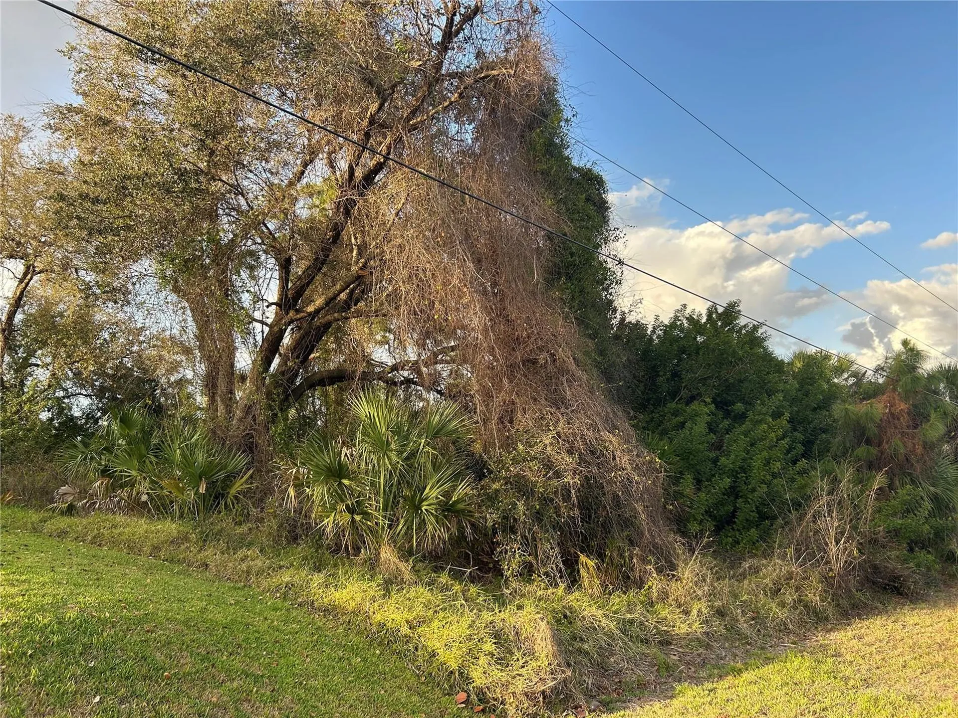 Rumson Road North Port FL 34288