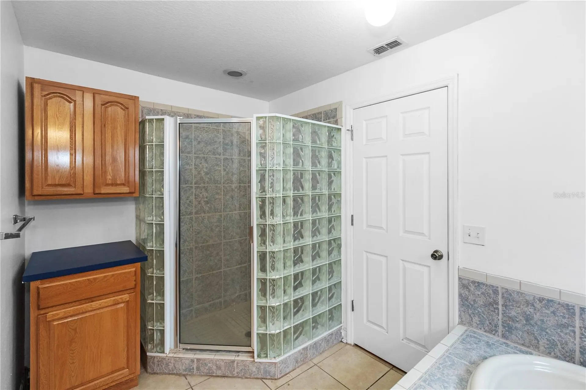 1415 E Annie Street Tampa FL 33612