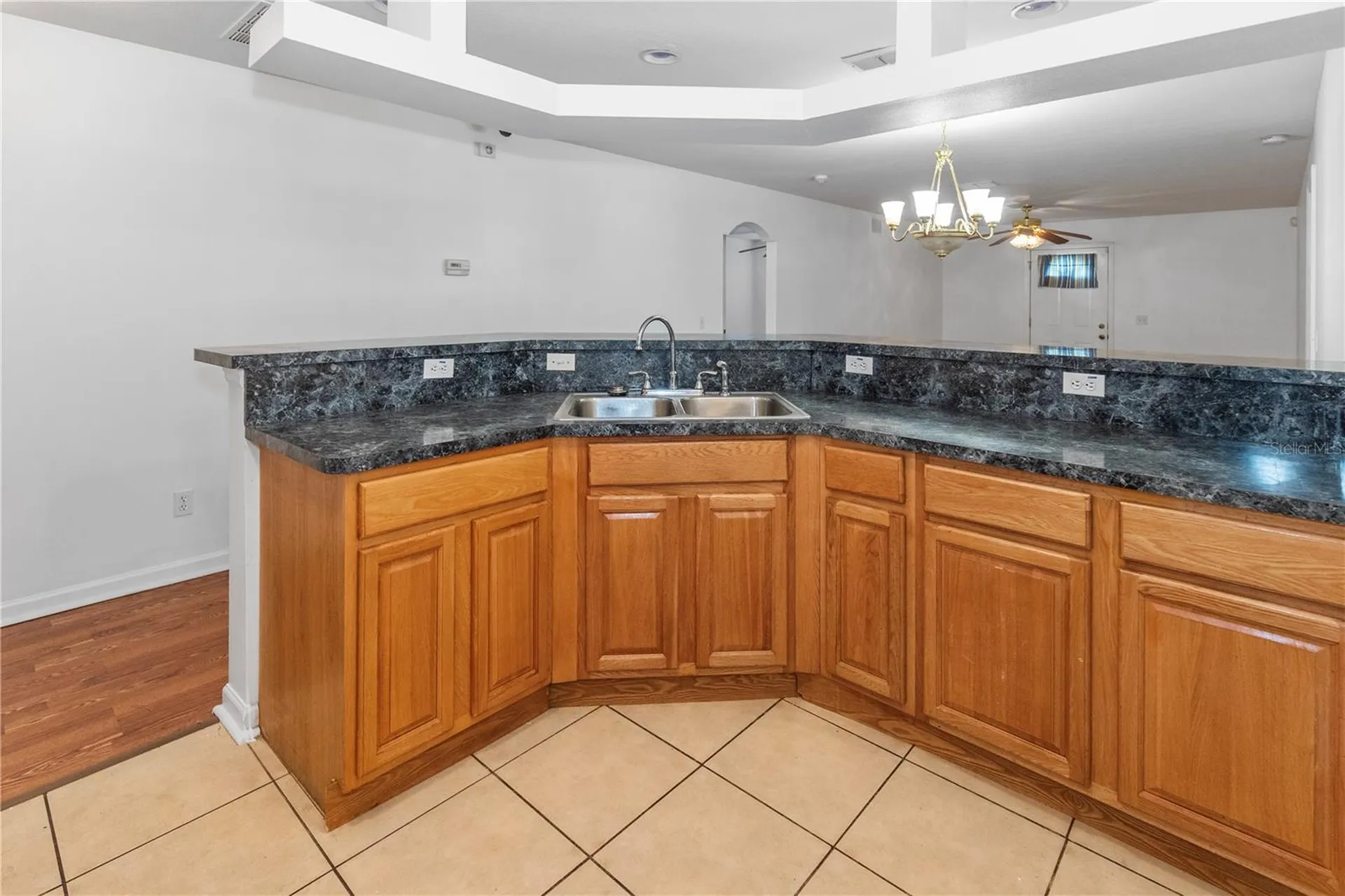 1415 E Annie Street Tampa FL 33612