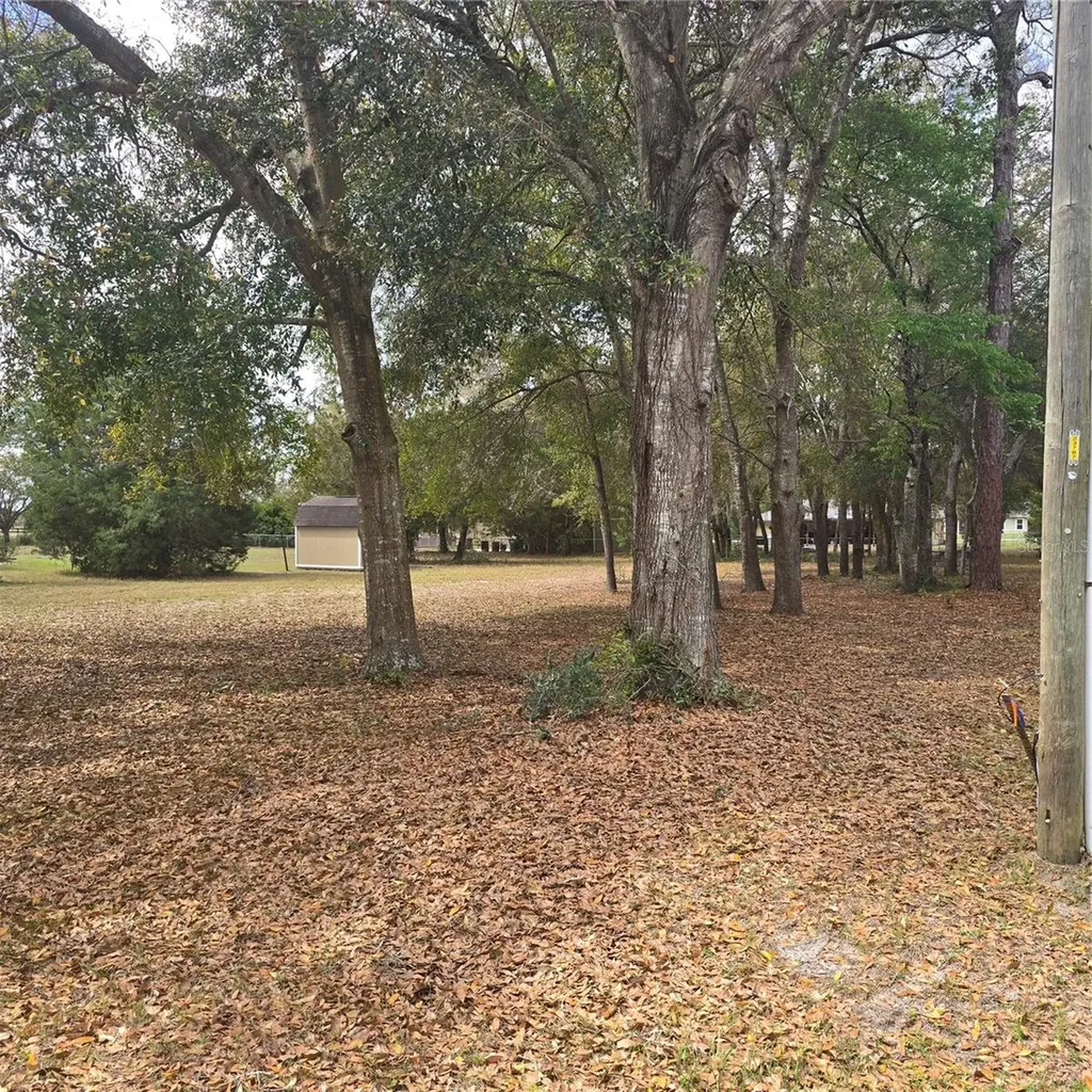 SE 92nd Avenue Summerfield FL 34491