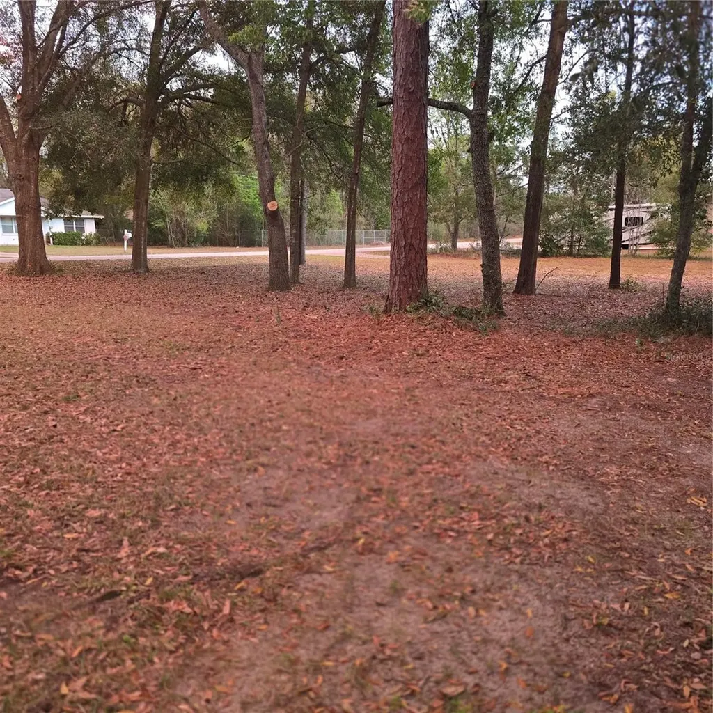SE 92nd Avenue Summerfield FL 34491