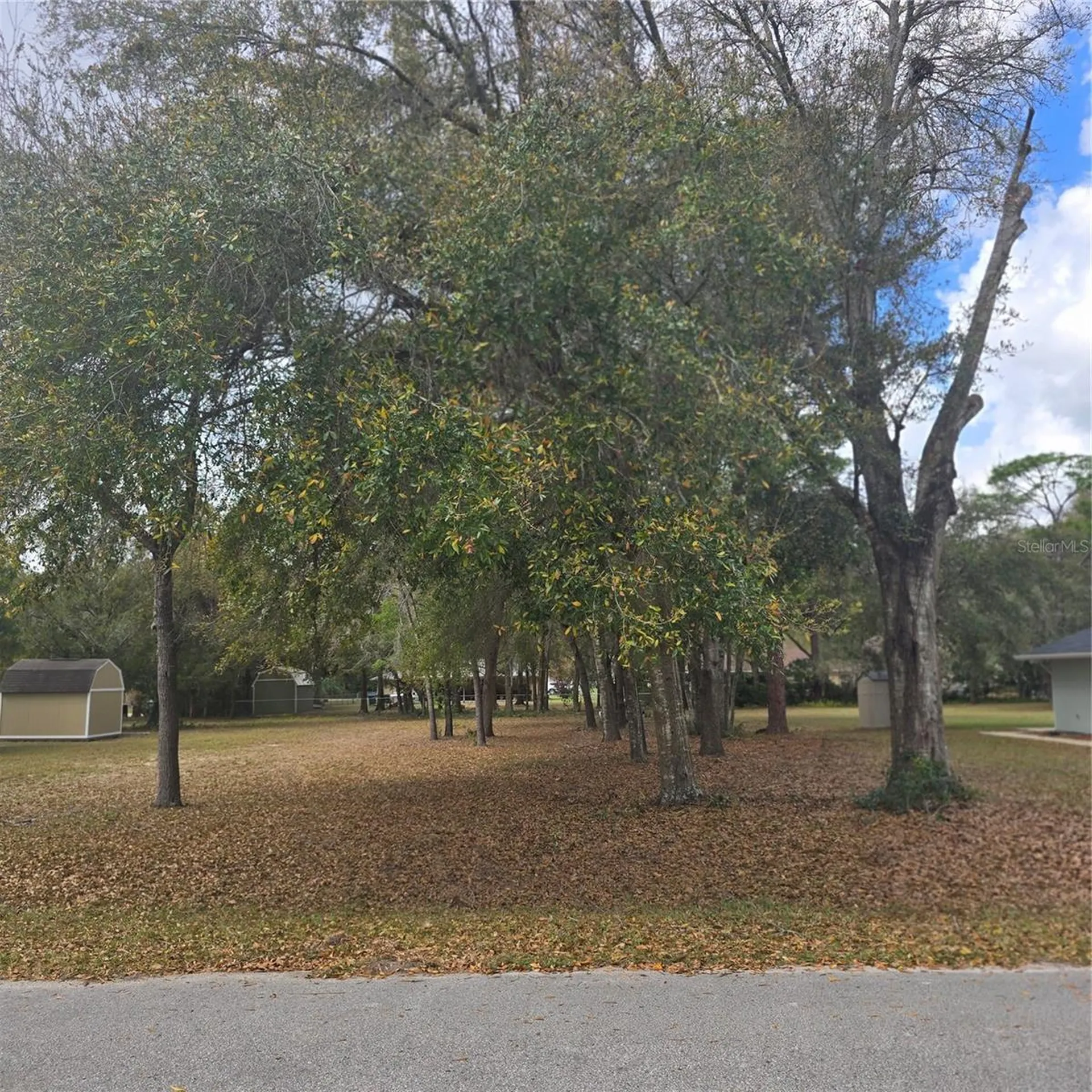 SE 92nd Avenue Summerfield FL 34491