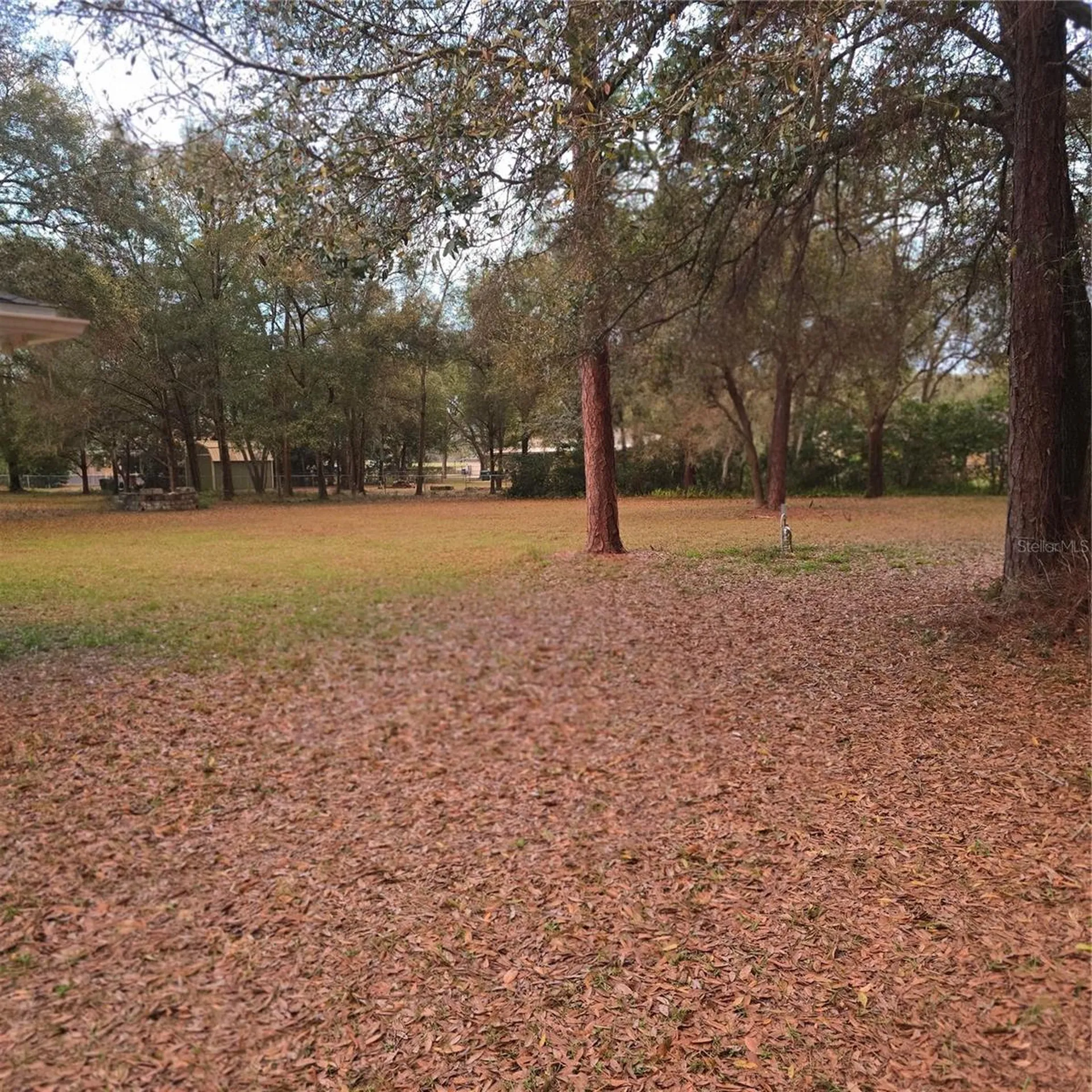 SE 92nd Avenue Summerfield FL 34491