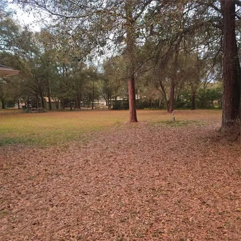 SE 92nd Avenue Summerfield FL 34491