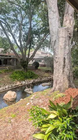 1906 SE Clatterbridge Road SE Ocala FL 34471