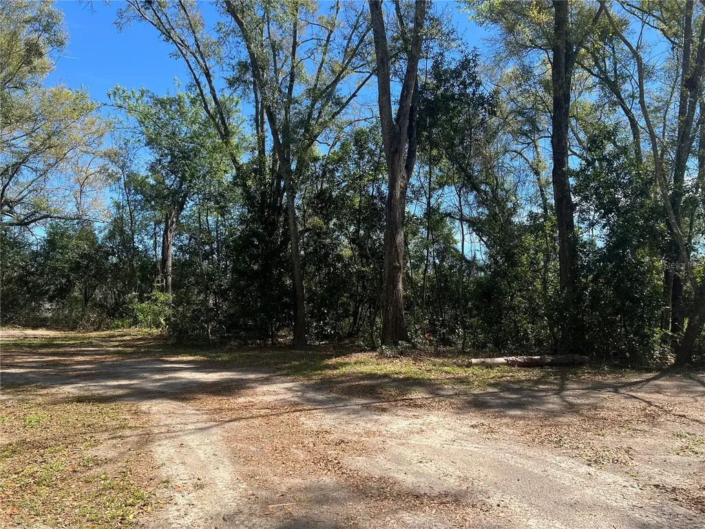 10304 NW 25th Court Branford FL 32008